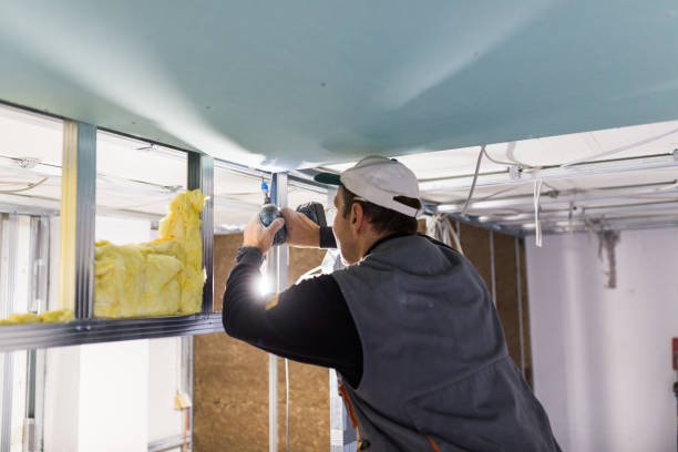 Best Eco-Friendly or Green Insulation Solutions  in Holt, AL