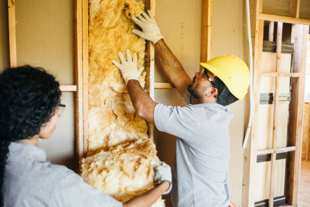 Best Batt and Roll Insulation  in Holt, AL